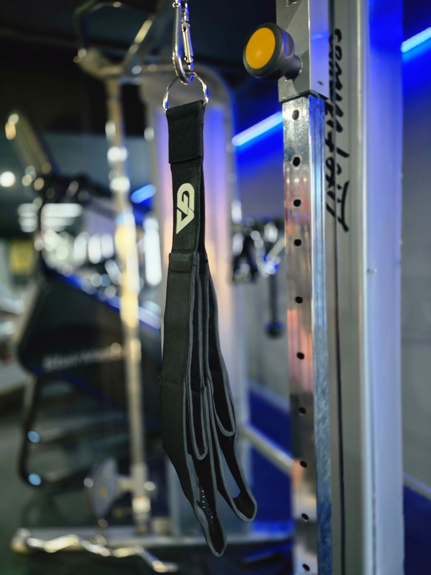 GYM addict cable attachment