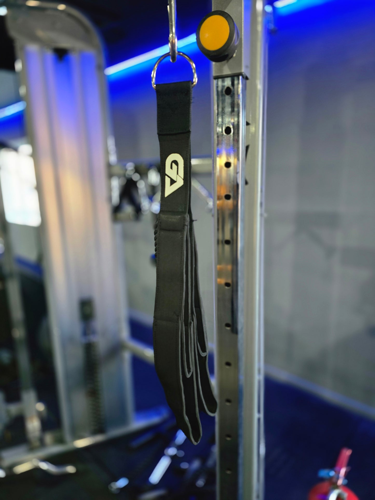 GYM addict cable attachment